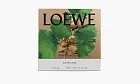 Loewe Small Scented Candle Roasted Hazelnut