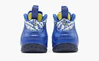 Nike Air Foamposite One Doernbecher 2023