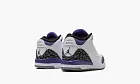 Air Jordan 3 Retro TD Dark Iris