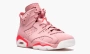 Air Jordan 6 Retro Nrg WMNS "Aleali May" 