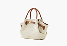 JW PEI Hana Mini Tote Bag Brown Canvas