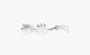 Gentle Monster Briolette 02 Sunglasses Silver/Clear 