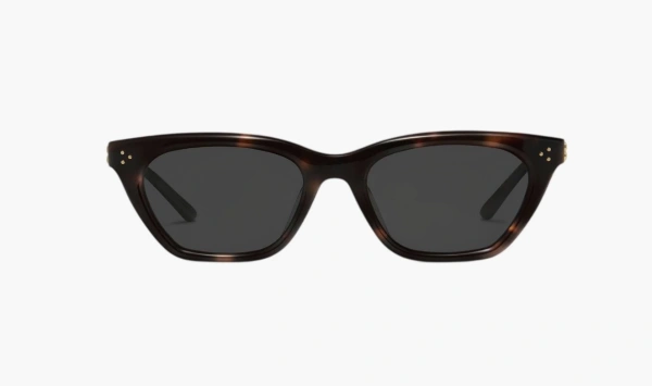 Gentle Monster Gisele T1 Sunglasses Tortoise / Black 