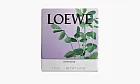 Loewe Small Scented Candle Liquorice