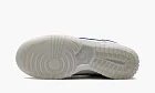 Nike Dunk Low Wolf Grey / Pure Platinum