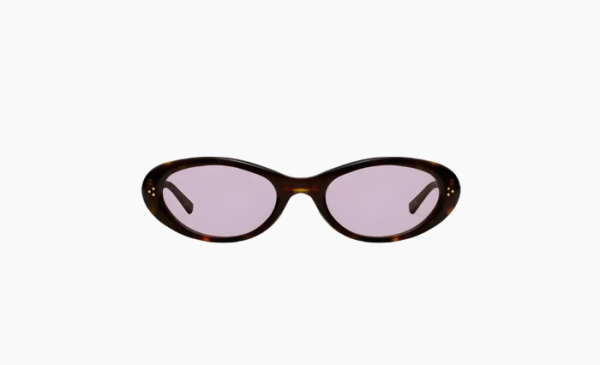 Gentle Monster Plastic Frame OVAL SUNGLASSES Unisex Brown 