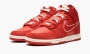 Nike Dunk HI SE First Use 