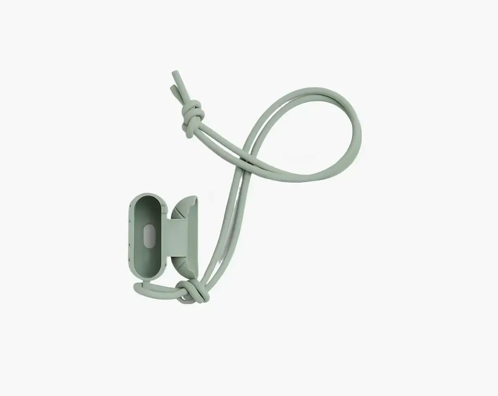 Bottega Veneta AirPods Case Sage Green