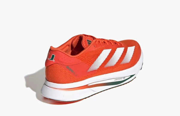 Adidas Adizero SL2 Collegiate Pack - Miami