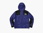 Supreme x The North Face Leather Mountain Parka Royal