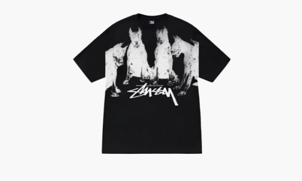 Stussy T-shirt Black White 