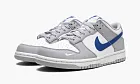 Nike Dunk Low GS