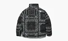 The North Face Nuptse Jacket Paisley