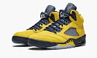 Air Jordan 5 Retro SE Michigan