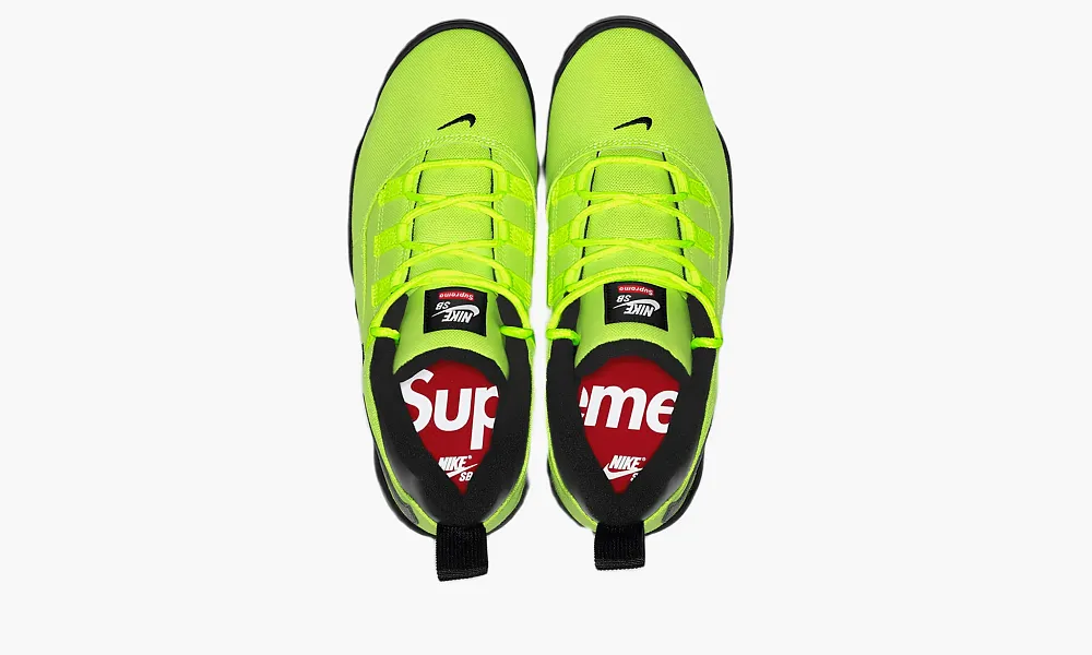 Nike Supreme X SB Air Darwin Low Green