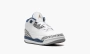 Air Jordan 3 TD "Wizards" 