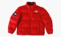фото Supreme x The North Face Faux Faur Nuptse Jacket Red (Supreme)-SUP-FW20-349