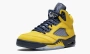 Air Jordan 5 Retro SE "Michigan" 