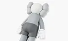 Companion 2020 Vinyl Figure Grey