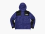 Supreme x The North Face Leather Mountain Parka Royal 