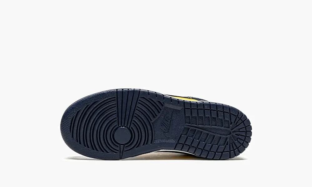 Nike Dunk Low PS Michigan