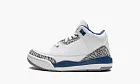 Air Jordan 3 PS Wizards