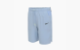 Nike Sports Shorts "Blue" 