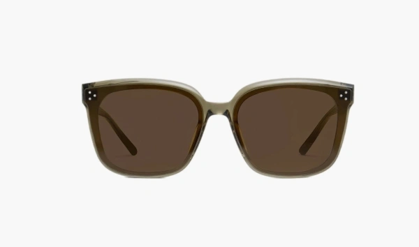 Gentle Monster Dear KC6 Sunglasses Green / Brown 