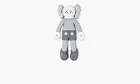 Companion 2020 Vinyl Figure Grey
