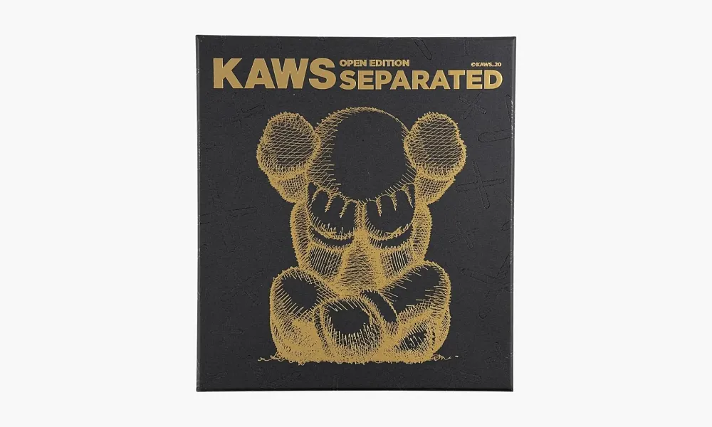 Kaws Separated Vinyl Figure Black