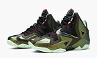 Nike Lebron 11 King's Pride