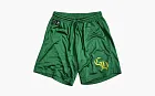 Chrome Hearts Mesh Shorts Green