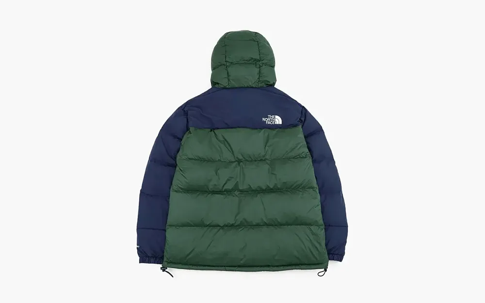The North Face Himalayan Series Stitched Logo Printed Zipper Parka Green