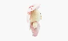 Pop Mart Labubu The Monsters Butterfly Bean Beans (Soymilk)