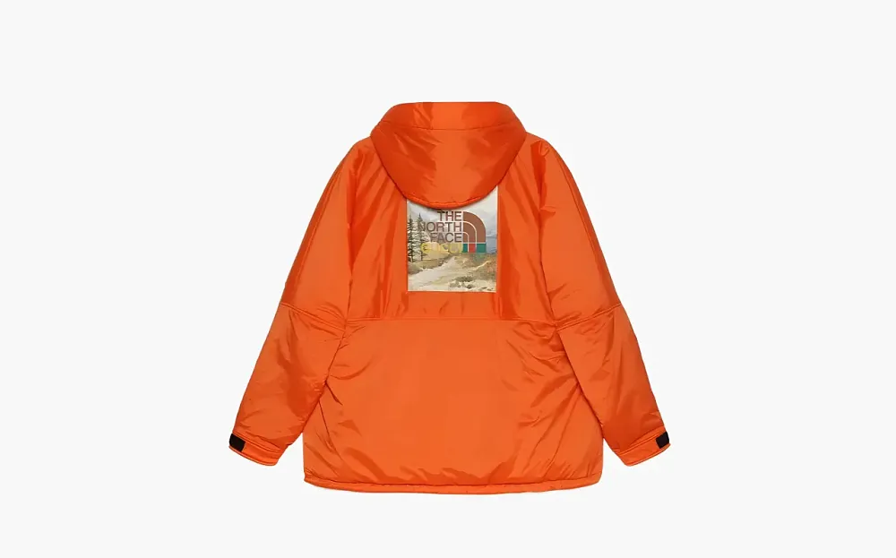 Gucci x The North Face Anorak Jacket Orange