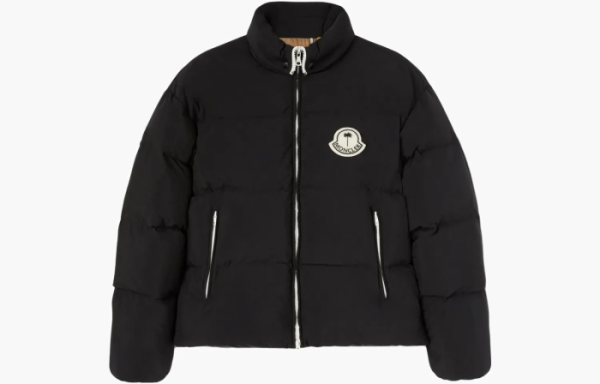 Moncler Down Jacket Unisex Black 