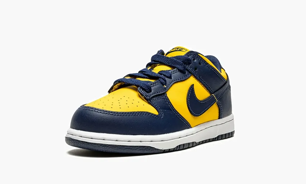 Nike Dunk Low PS Michigan