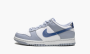 Nike Dunk Low GS "Blue Iridescent" 