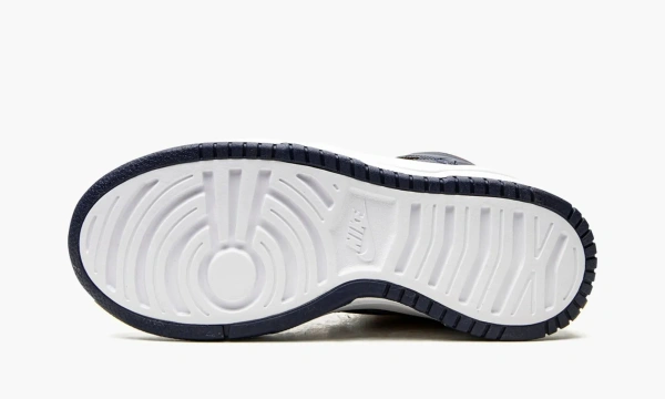 Nike Dunk High WMNS Rebel Michigan 