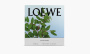 Loewe Small Scented Candle "Incense" 