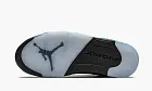 Air Jordan 5 Retro SE Oregon