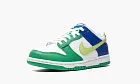 Nike Dunk Low GS Green / Blue