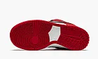 Nike SB Dunk Low Pro Chicago