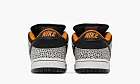 Nike Dunk Low Pro SB Electric Pack