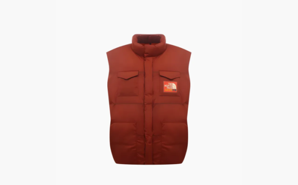Gucci x The North Face Nylon Down Vest Brown Red 