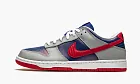 Nike Dunk Low Samba