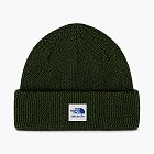 The North Face x Aime Leon Dore Wool Beanie Kombu Green