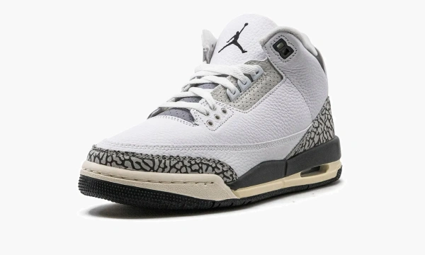 Air Jordan 3 GS Hide N Sneak 