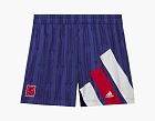 adidas x Brain Dead Shorts Blue