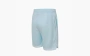 Nike DNA DRI FIT Sports Shorts Sky Blue 
